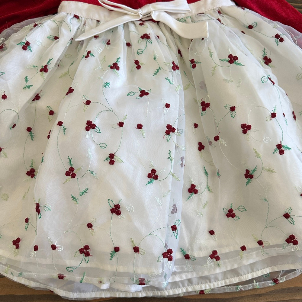 Wonder Kids Holiday Formal Dress 24M Red Velvet Faux Fur Embroidered Skirt - Picture 4 of 5